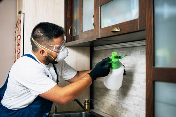 Professional Pest Control in Paulina, LA