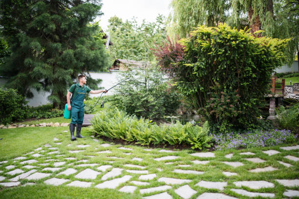 Best Local Pest Control Services  in Paulina, LA