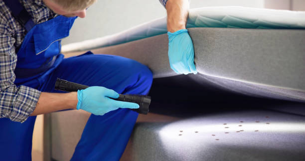 Best Best Pest Control Companies  in Paulina, LA