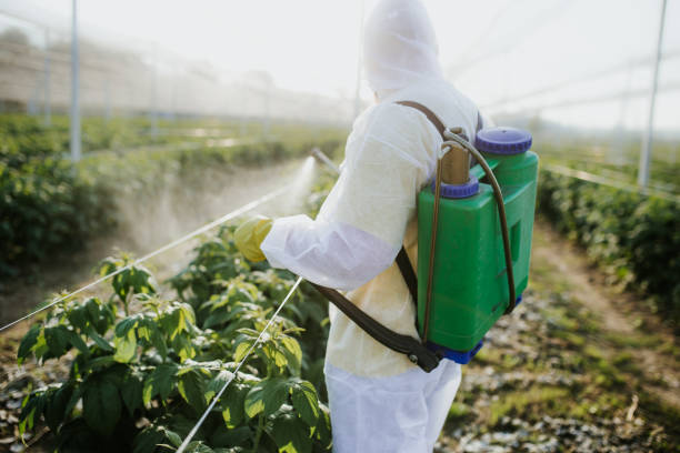 Pest Control Cost in Paulina, LA